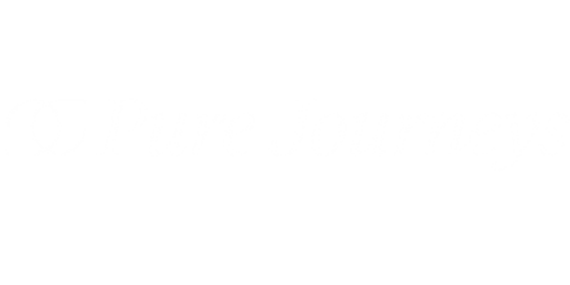 Pure Journeys logo